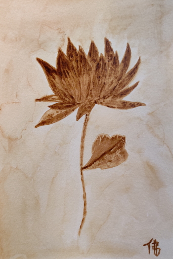 Lotus